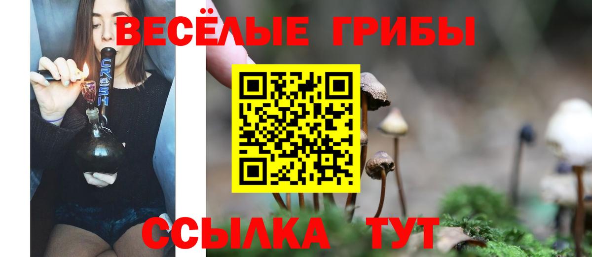 Галлюциногенные грибы Psilocybine cubensis Благодарный