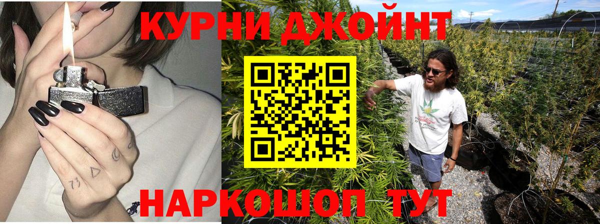 Конопля планчик Благодарный